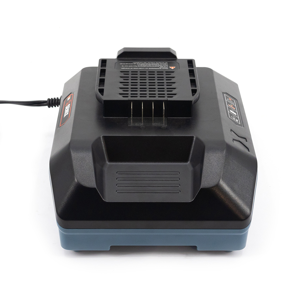 X6 60V 5A Charger