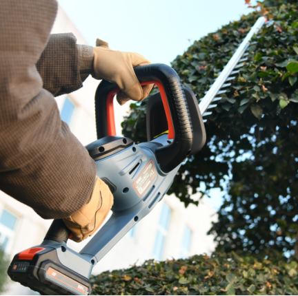 1772068584638175.png image.png