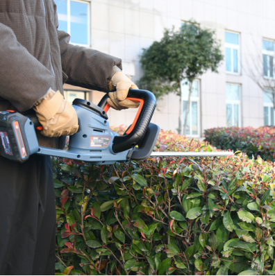 1772068615718290.png image.png