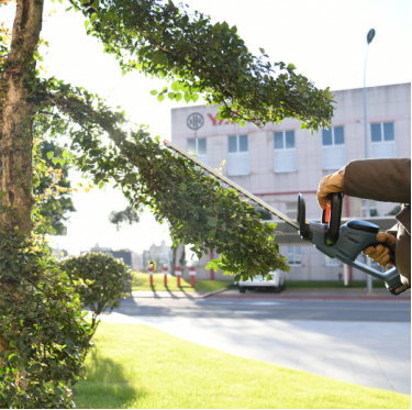 1772068658164092.png image.png