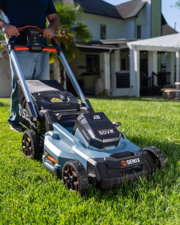 Lawn