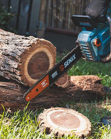 Tree & Brush