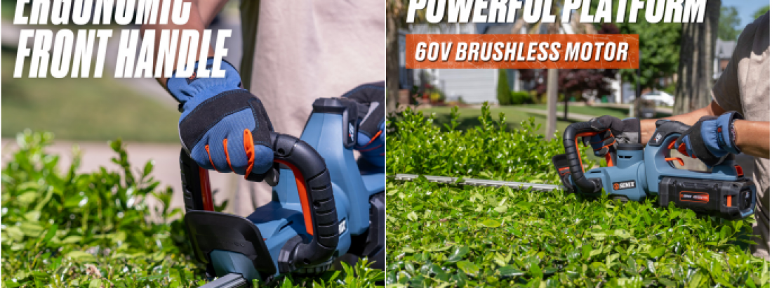How to Trim Hedges Like a Pro This Early Summer And Why Your Tool Choice Matters​