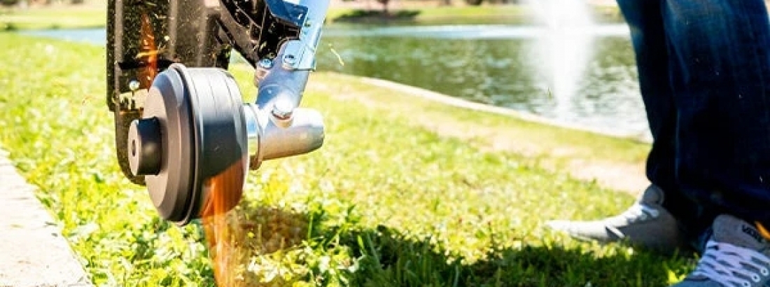 Best Practices for Trimming Garden Edges Like a Pro