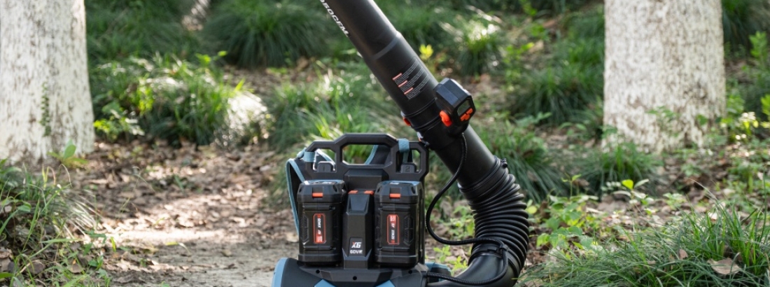 Leaf Blowers vs Leaf Vacuums: Which One is Best for Your Yard?