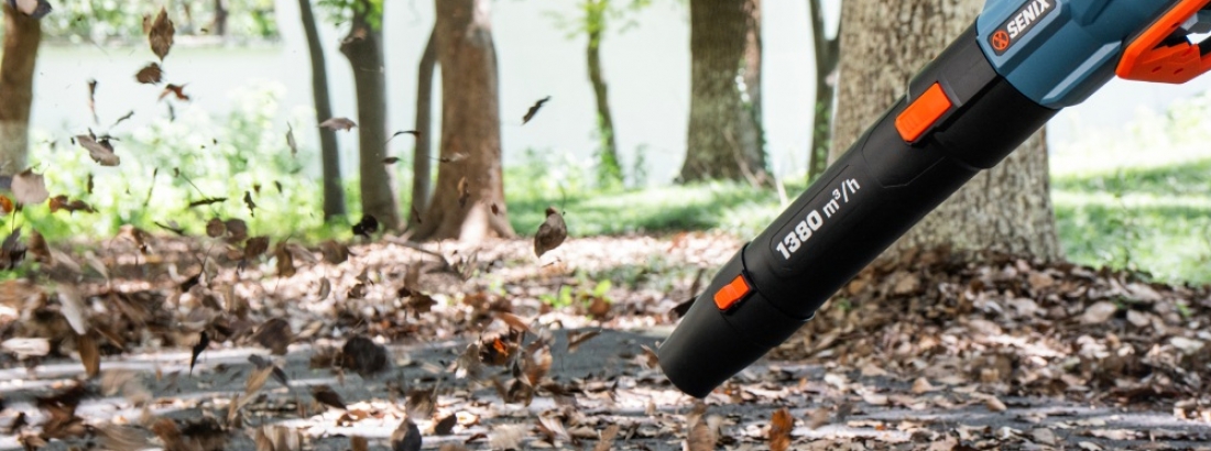 Mastering Autumn Cleanups: The Real Power Behind Your Leaf Blower