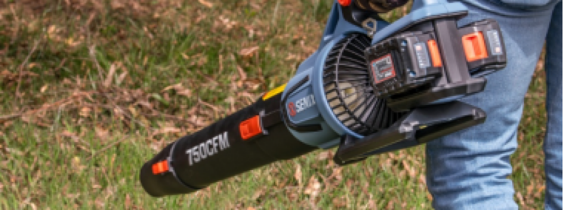 Things to Keep in Mind When Buying a Leaf Blower