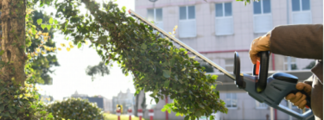 How to Maintain Your Hedge Trimmer for Optimal Performance and Longer Blade Life