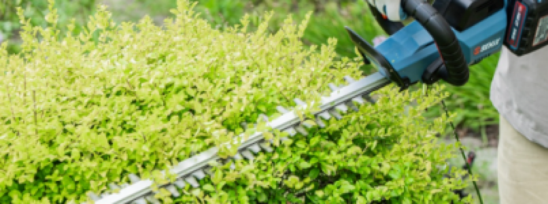 Is the SENIX 40V Cordless Hedge Trimmer Worth It? A Hands-on Look