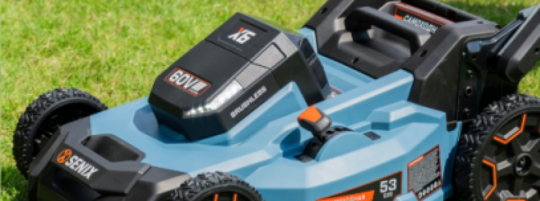 How to Care for My Spring Lawn: 8 Top Tips