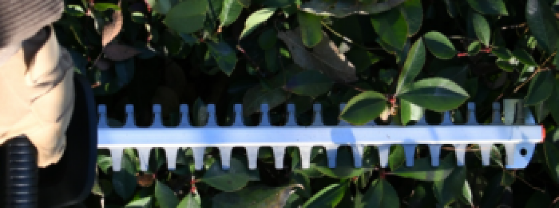 Hedge Trimmer Safety Tips Every User Should Know